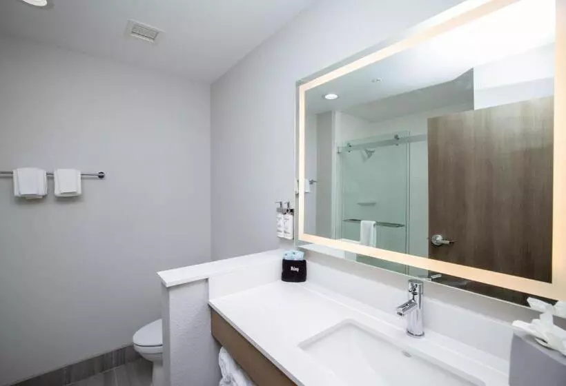 キングサイズベッドのスタンダードルーム, Holiday Inn Express & Suites Tampa Stadium   Airport Area, An Ihg