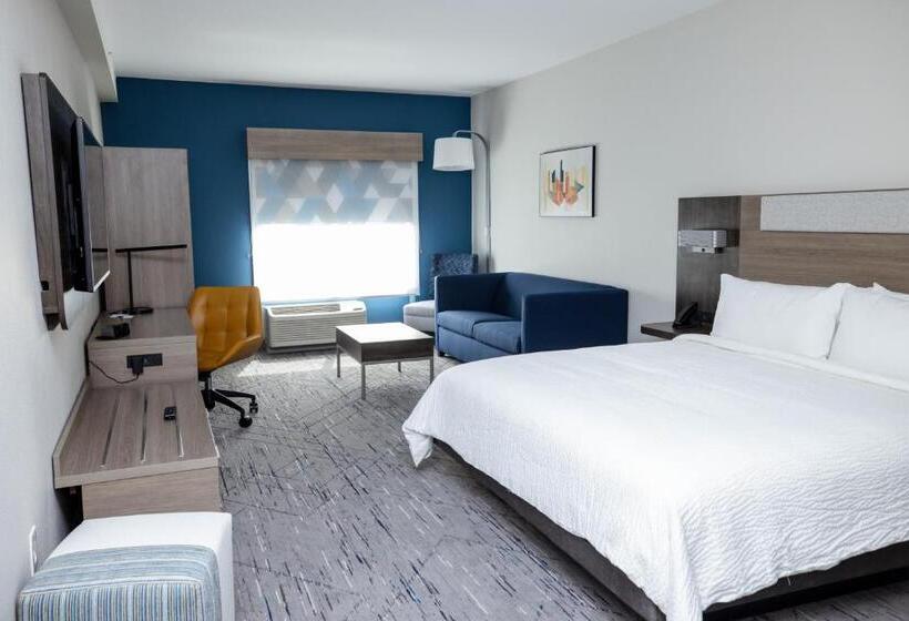 带大床的套房, Holiday Inn Express & Suites Tampa Stadium   Airport Area, An Ihg