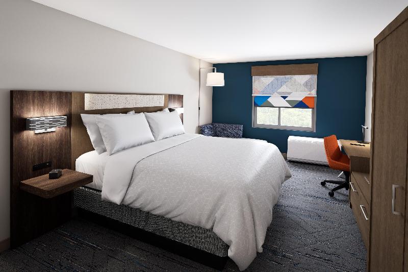 带大床的标准间, Holiday Inn Express & Suites Tampa Stadium   Airport Area, An Ihg