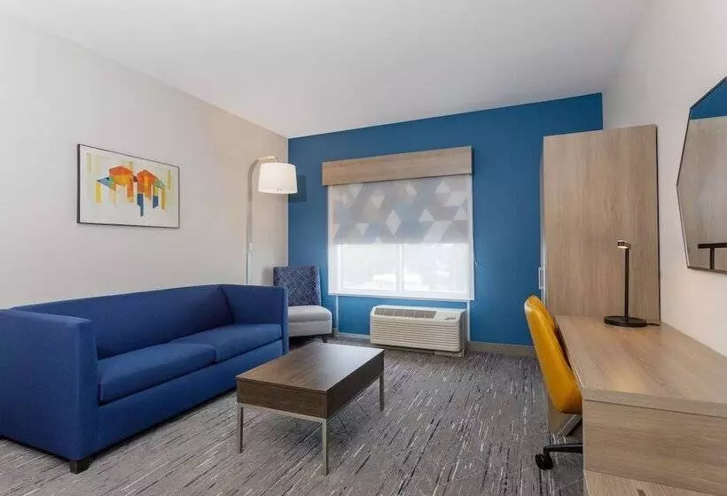 スイート, Holiday Inn Express & Suites Tampa Stadium   Airport Area, An Ihg