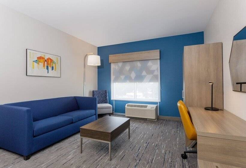 适合残疾人士使用的套间, Holiday Inn Express & Suites Tampa Stadium   Airport Area, An Ihg