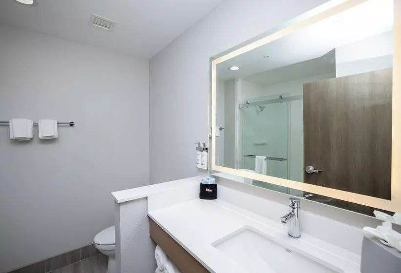 スタンダードルーム, Holiday Inn Express & Suites Tampa Stadium   Airport Area, An Ihg
