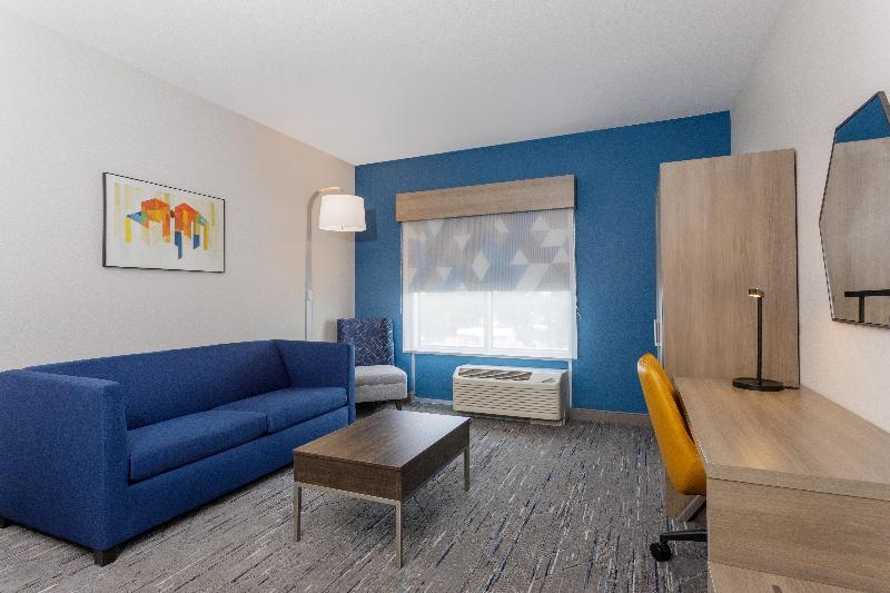 带大床的套房, Holiday Inn Express & Suites Tampa Stadium   Airport Area, An Ihg