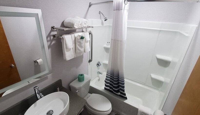 スーペリアールーム, Ambassador Inn And Suites