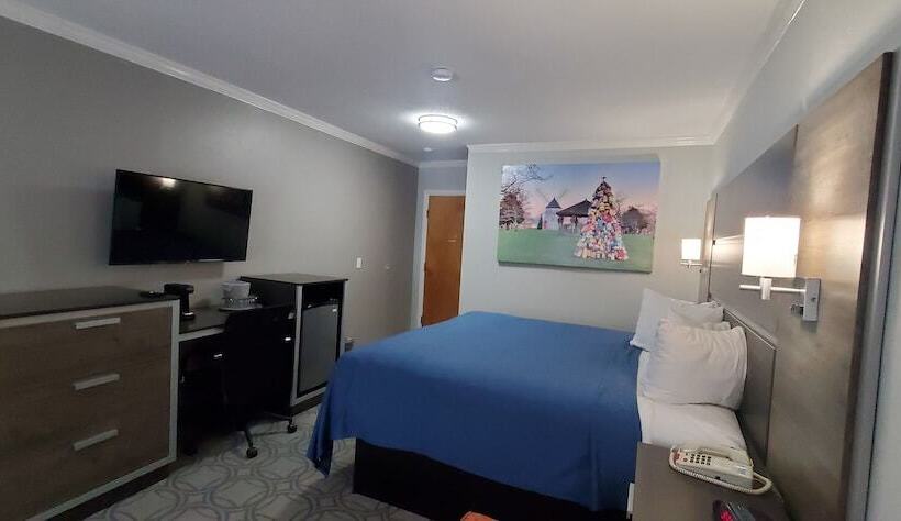 スーペリアールーム, Ambassador Inn And Suites