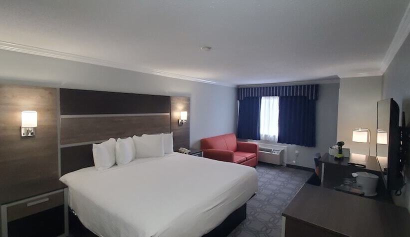 スーペリアールーム, Ambassador Inn And Suites