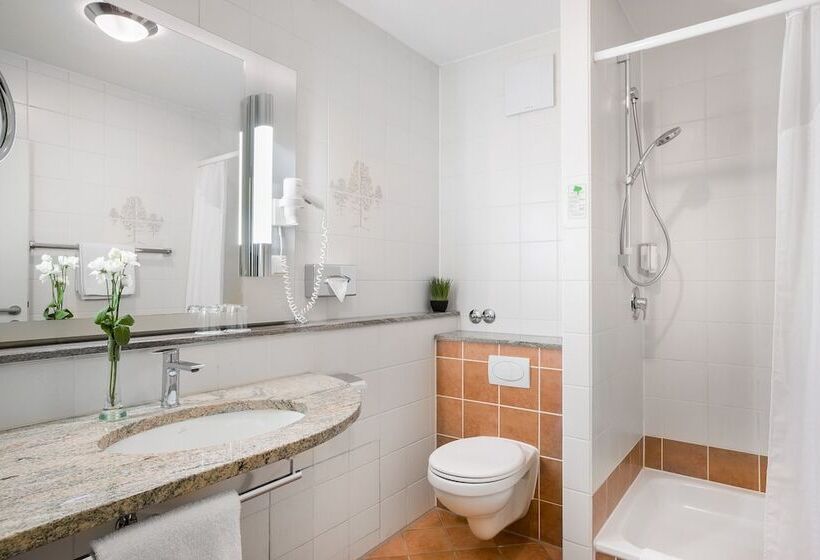 חדר סטנדרט, Rega