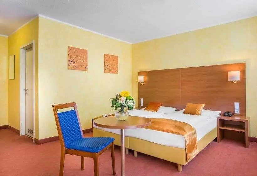 Chambre Standard, Rega