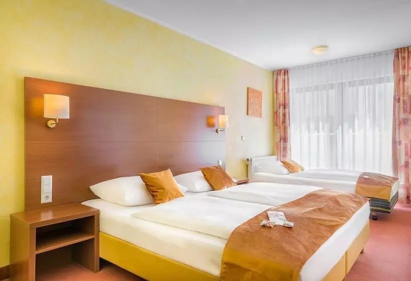 Chambre Triple Standard, Rega
