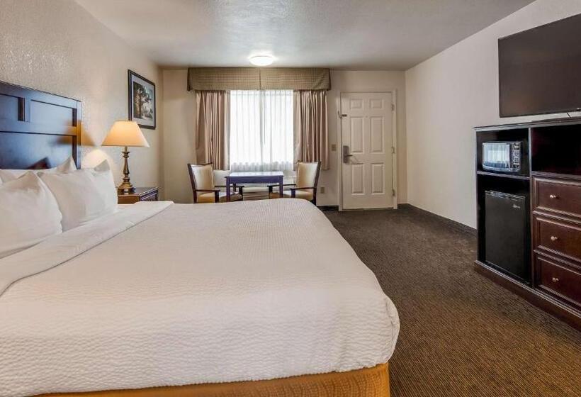 חדר סטנדרט עם מיטת קינג, Best Western Arcata Inn