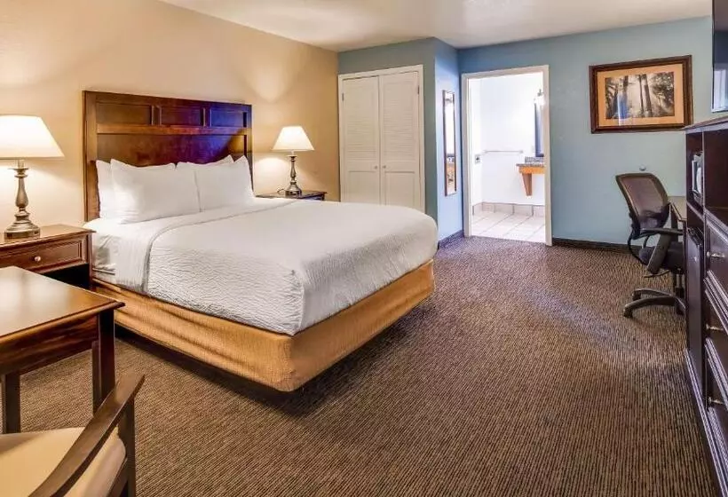 اتاق استاندارد با تخت دو نفره بزرگ برای معلولان, Best Western Arcata Inn