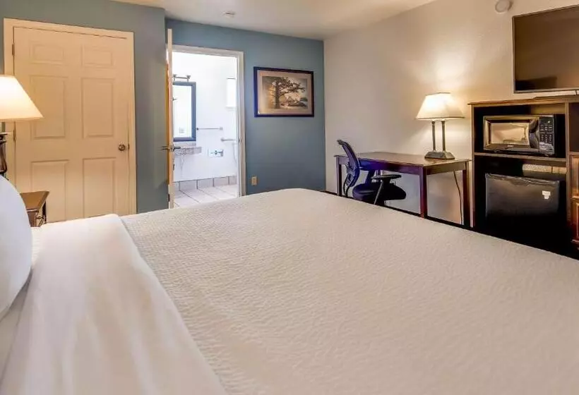 اتاق استاندارد با تخت بزرگ برای معلولان, Best Western Arcata Inn