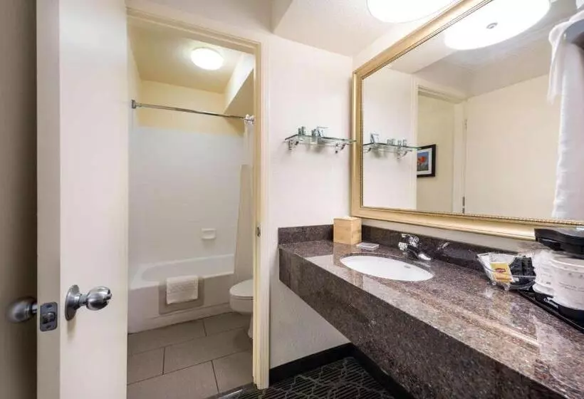 اتاق استاندارد, Best Western Danville Sycamore Inn