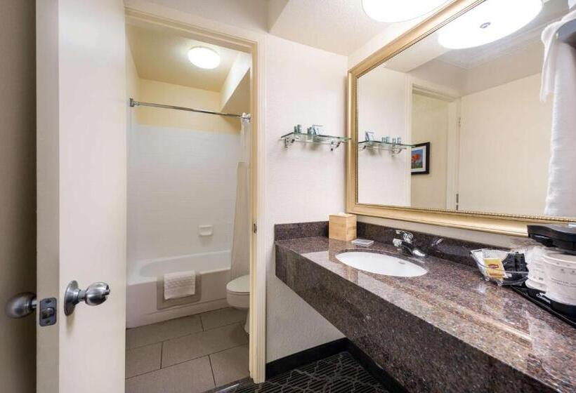 Номер Стандарт Внутренний, Best Western Danville Sycamore Inn