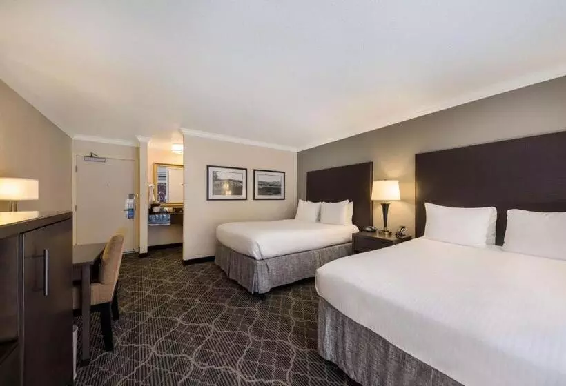 اتاق استاندارد اینتریور, Best Western Danville Sycamore Inn