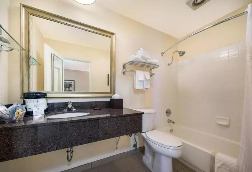سوئیت با تخت بزرگ, Best Western Danville Sycamore Inn
