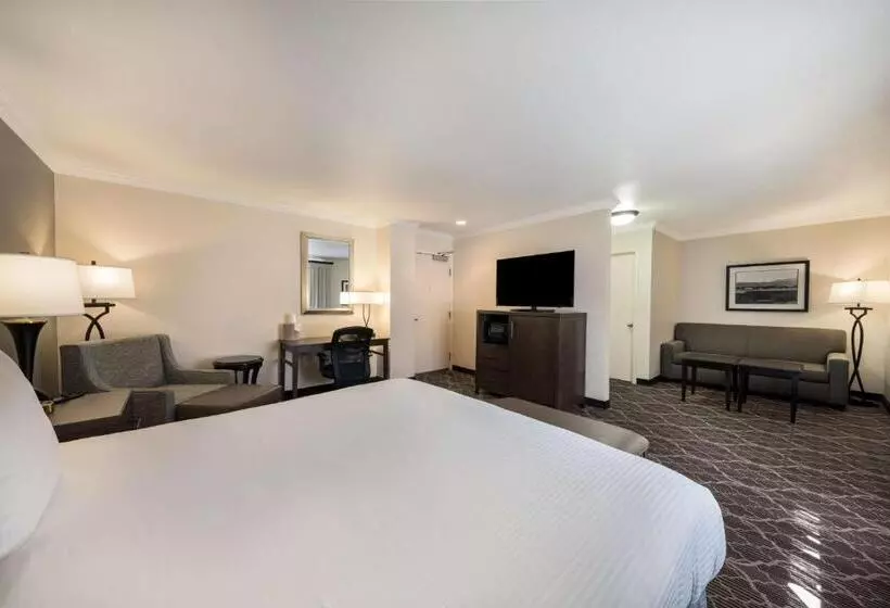 سوئیت با تخت بزرگ, Best Western Danville Sycamore Inn