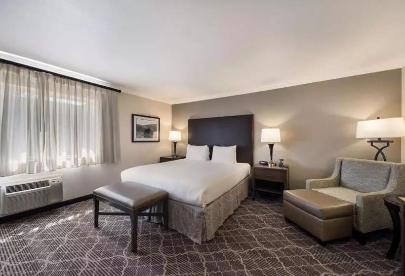 سوئیت با تخت بزرگ, Best Western Danville Sycamore Inn