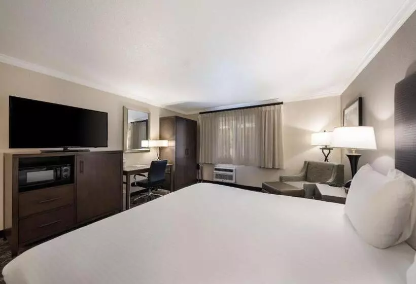 اتاق استاندارد با تخت بزرگ, Best Western Danville Sycamore Inn