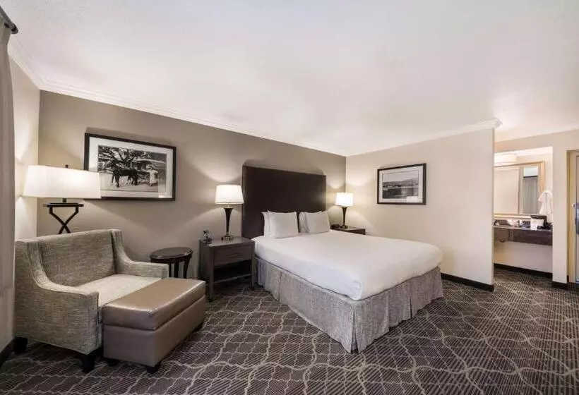 اتاق استاندارد با تخت بزرگ, Best Western Danville Sycamore Inn