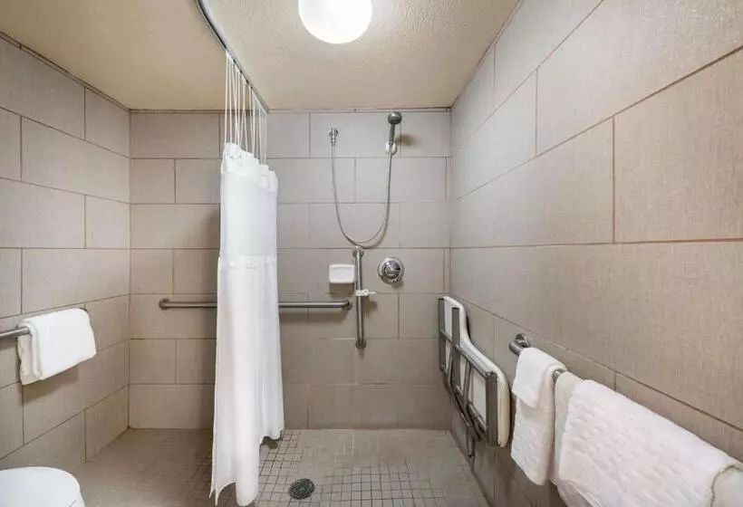 اتاق استاندارد با تخت بزرگ برای معلولان, Best Western Danville Sycamore Inn