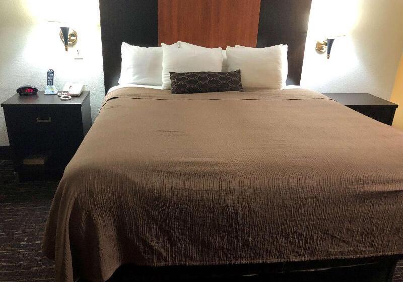 Номер Стандарт Кровать Кинг Адаптированный для Инвалидов, Best Western Executive Inn