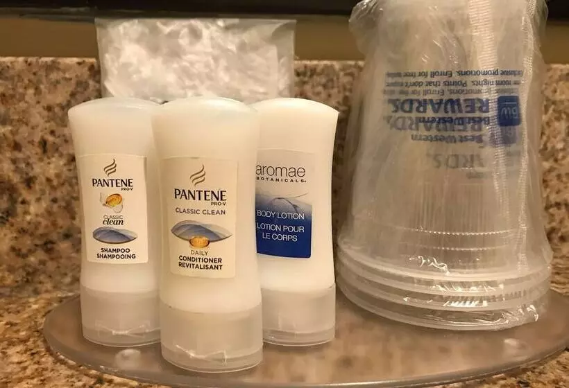 身障者適用スイートルーム, Best Western Plus Deerfield Beach Hotel & Suites
