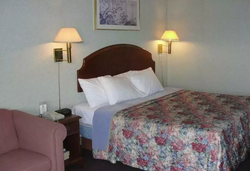 キングサイズベッドのスタンダードルーム, Budget Inn