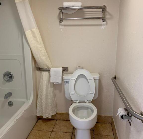 带大床的套房, Zainee Inc Budgetel Inn And Suites