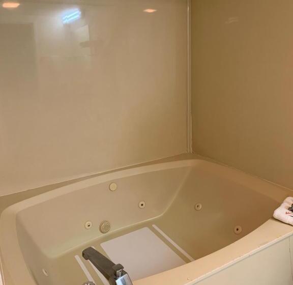 带大床的标准间, Zainee Inc Budgetel Inn And Suites