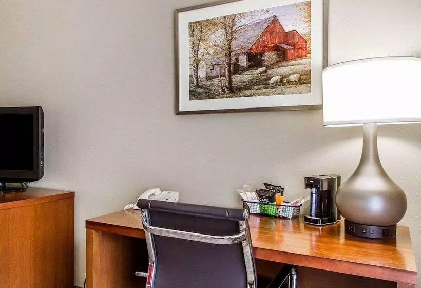 اتاق استاندارد با 2 تخت دوبل, Comfort Inn Brunswick