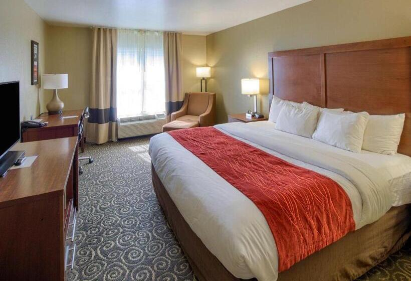 스탠다드 룸 킹사이즈 침대, Comfort Inn Brunswick