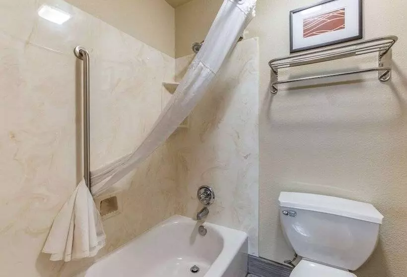スイート, Comfort Inn Flagstaff Lucky Lane I 40