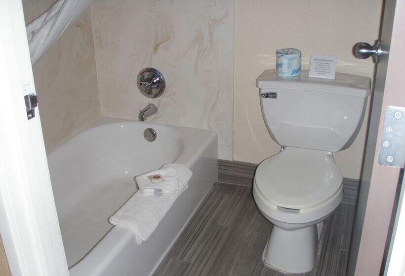스위트, Comfort Inn Flagstaff Lucky Lane I 40