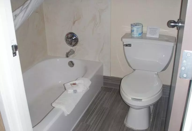 スイート, Comfort Inn Flagstaff Lucky Lane I 40