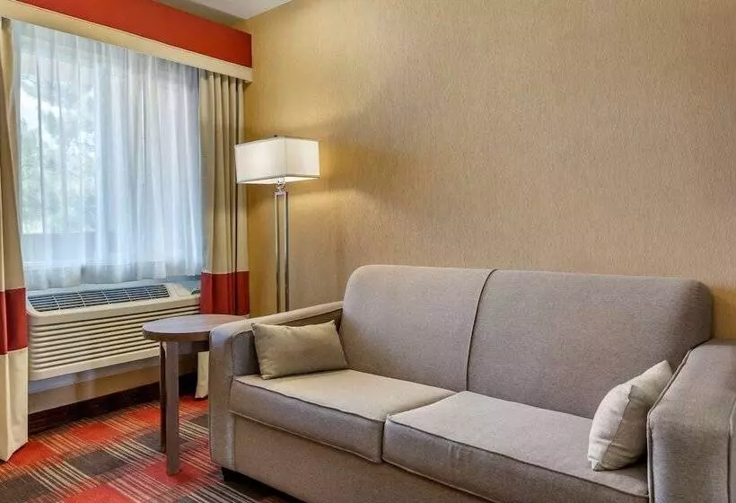 スイート, Comfort Inn Flagstaff Lucky Lane I 40