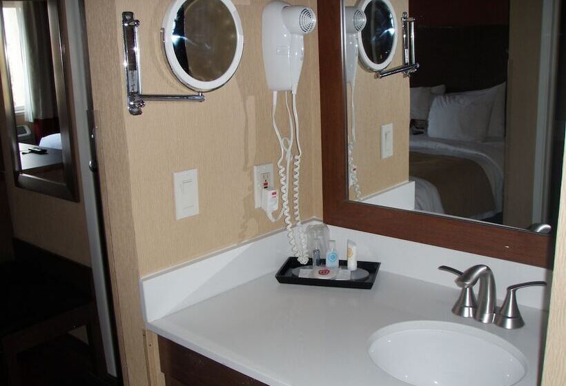 سوییت, Comfort Inn Flagstaff Lucky Lane I 40