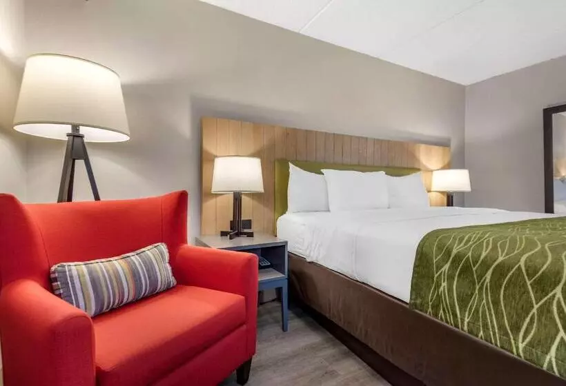 キングサイズベッドのエクゼクティブルーム, Comfort Inn & Suites