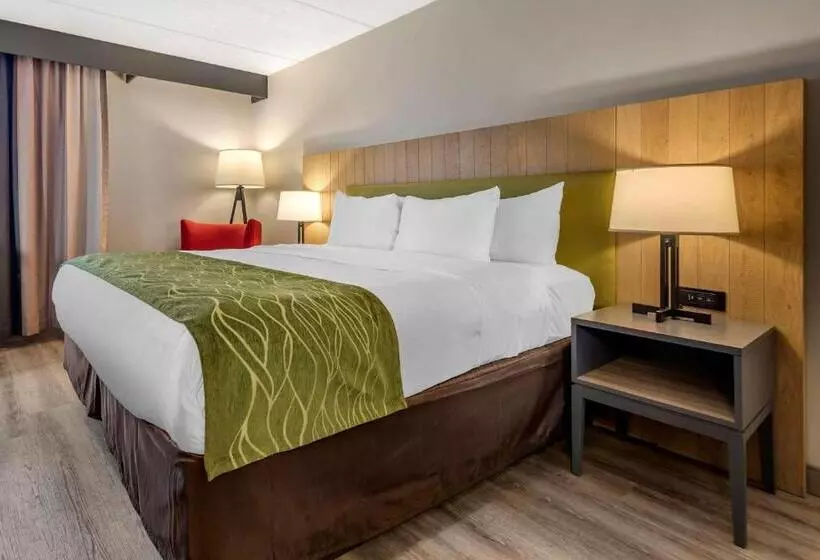 キングサイズベッドのエクゼクティブルーム, Comfort Inn & Suites