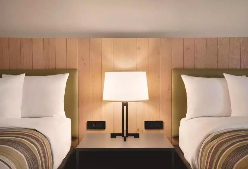 スタンダードルーム, Comfort Inn & Suites
