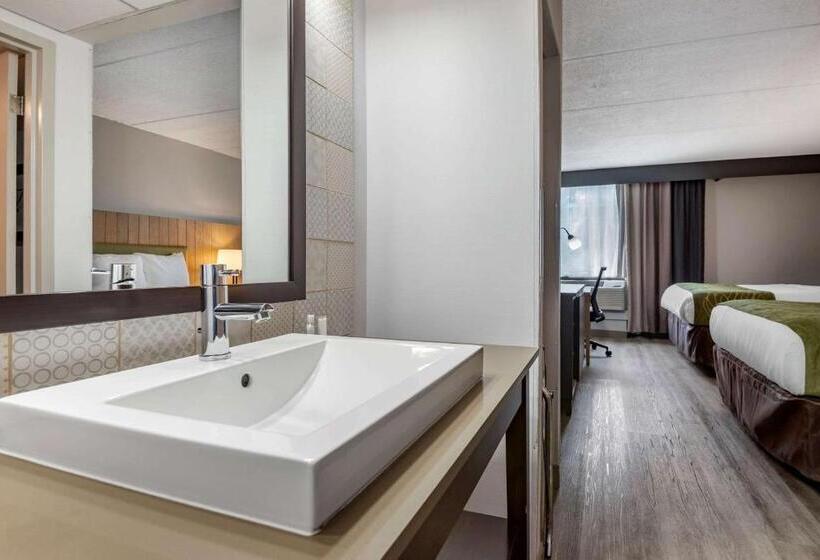 标准间, Comfort Inn & Suites