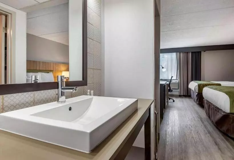 スタンダードルーム, Comfort Inn & Suites