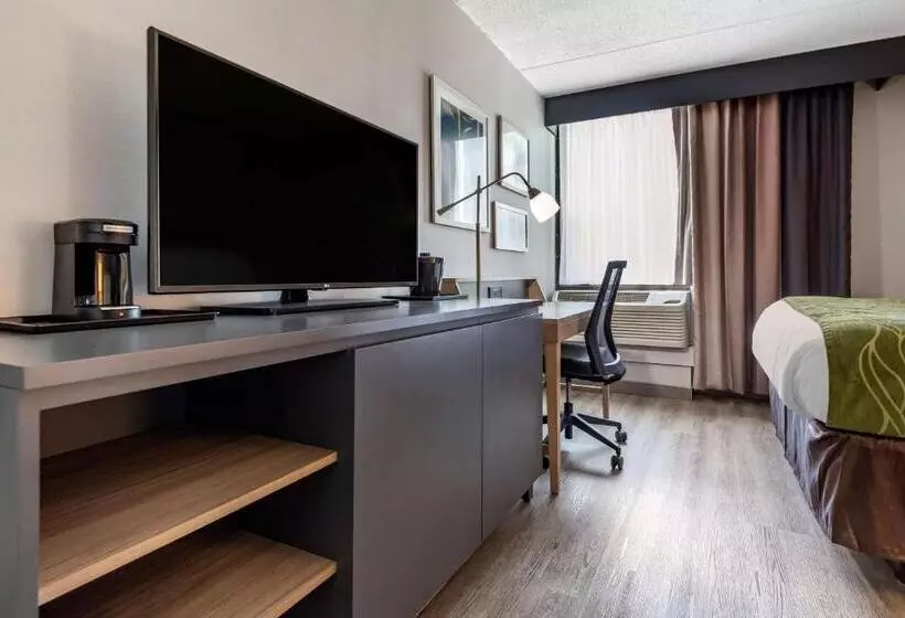 スタンダードルーム, Comfort Inn & Suites