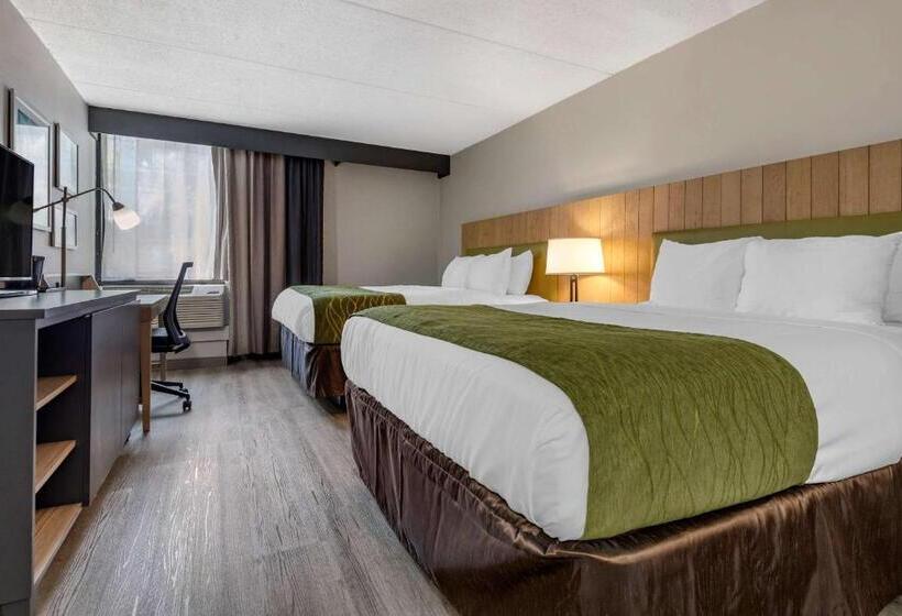标准间, Comfort Inn & Suites