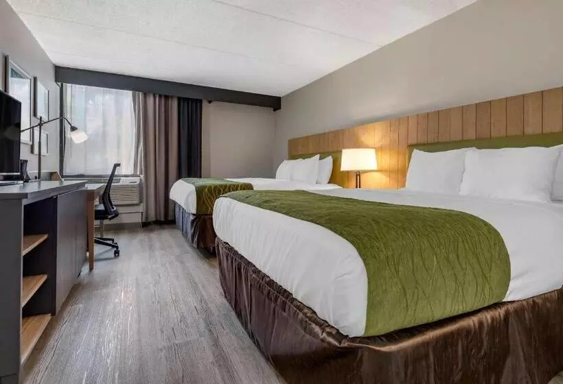 スタンダードルーム, Comfort Inn & Suites