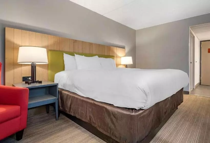 身障者適用キングサイズベッドルーム, Comfort Inn & Suites