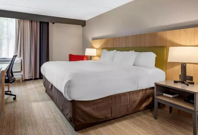 身障者適用キングサイズベッドルーム, Comfort Inn & Suites