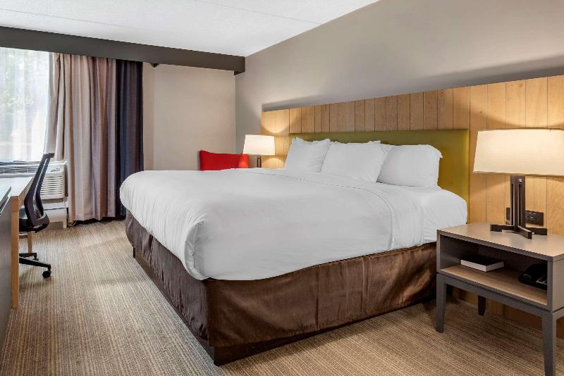 Номер Стандарт Кровать Кинг Адаптированный для Инвалидов, Comfort Inn & Suites