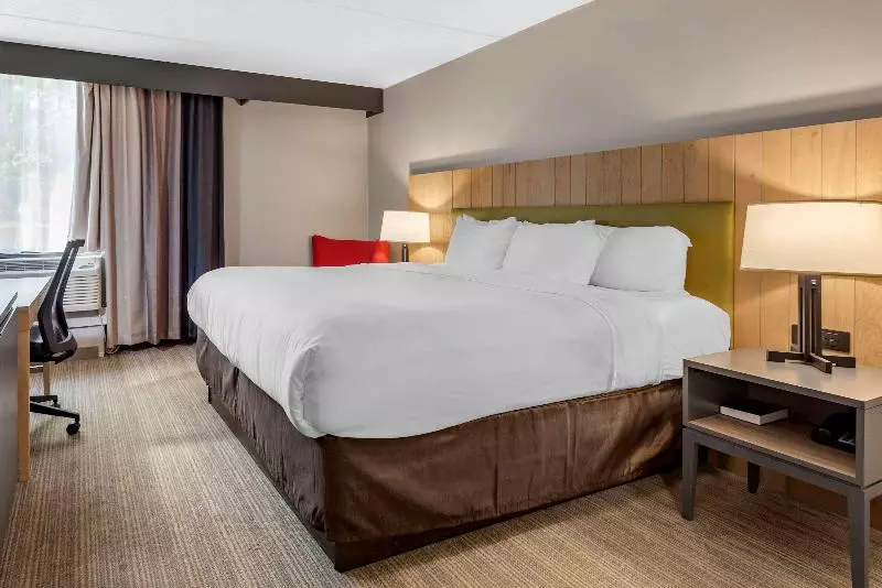 身障者適用キングサイズベッドルーム, Comfort Inn & Suites
