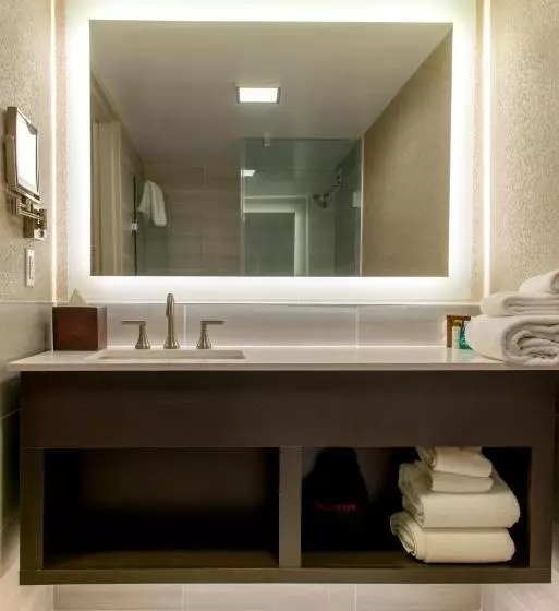 اتاق استاندارد برای معلولان, Crowne Plaza Executive Center Baton Rouge, An Ihg